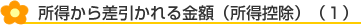 所得から差引かれる金額(所得控除)(1)