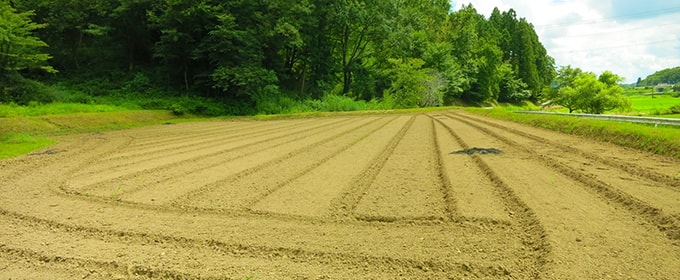 相続になってわかった、「生産緑地」が解除できない!?