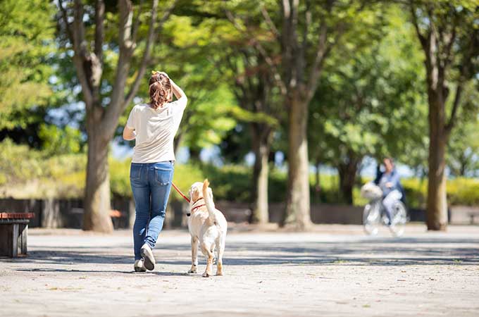 ペットに財産を相続できる？  世話を依頼する方法や相続税についても解説