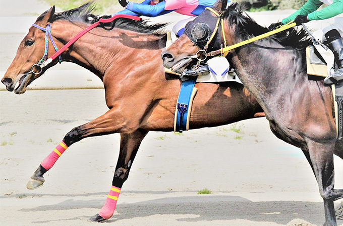 なぜ高額の追徴課税に？じゃいさんの競馬払戻金をめぐる「一時所得」vs.「雑所得」の戦い