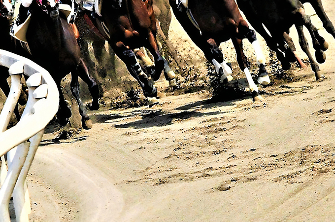 有馬記念で当てたら税金は発生する？「控除」などに影響はあるの？